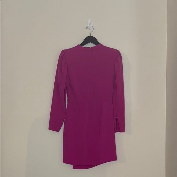 ALC Elegant Pink Dress - Picture 5 of 5